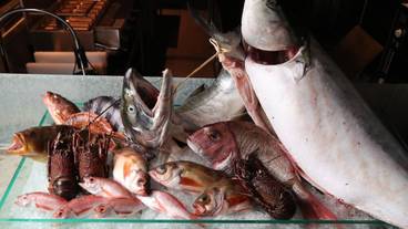 食事・飲み物 / 7