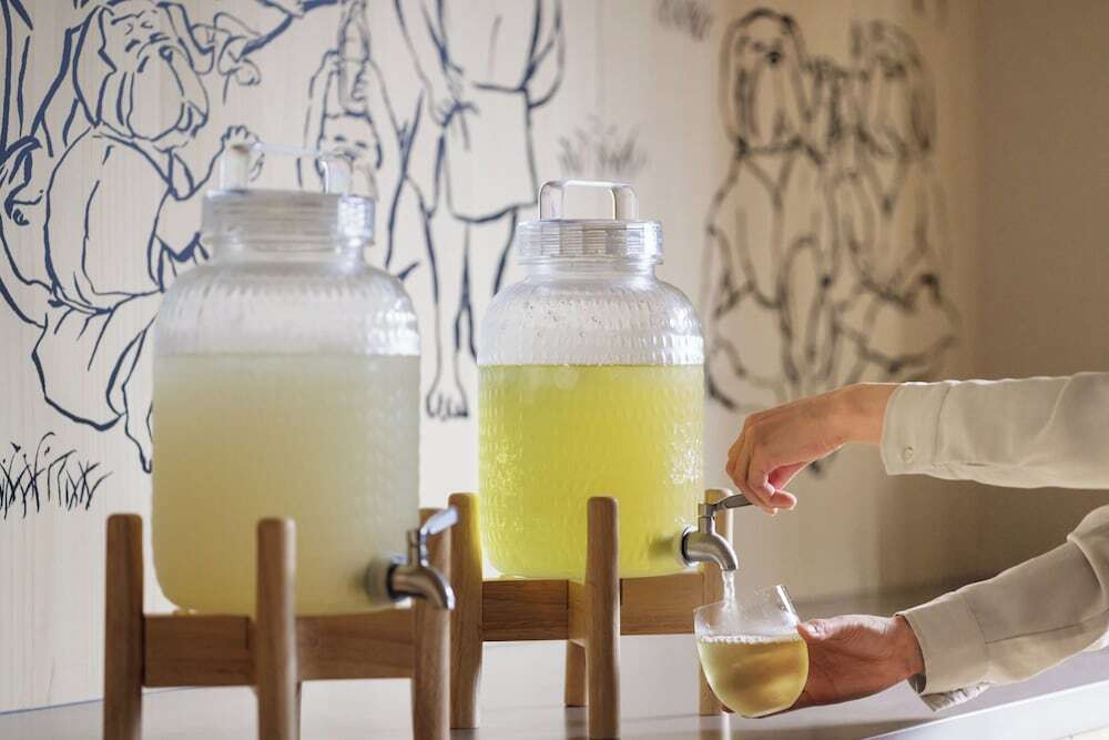 トサノユ 湯上がり処 柑橘と生姜のドリンク