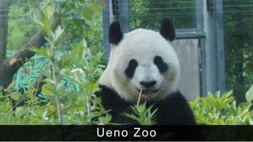 シティ ビュー / 21