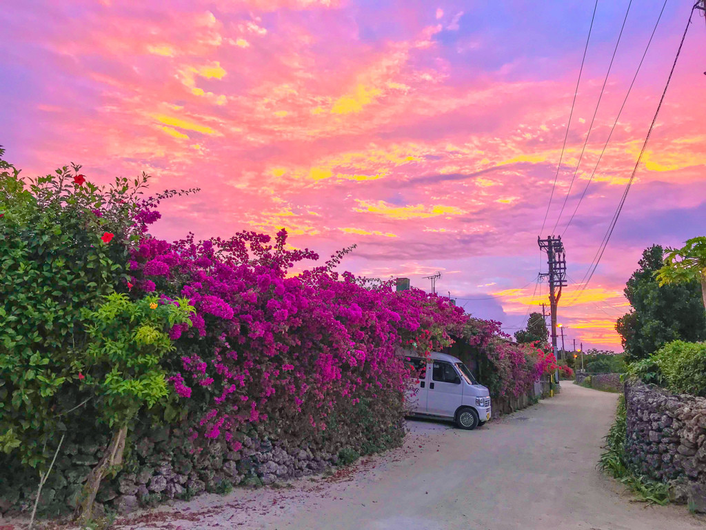 翌朝は早起きしてより静かな島をおさんぽしてみよう3646023