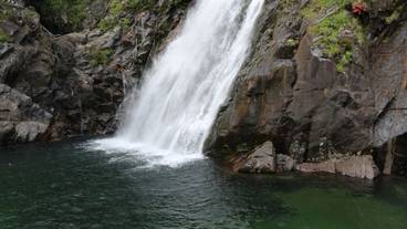 観光スポット / 9