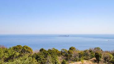 ビーチ / オーシャン ビュー / 4