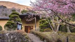 伊豆高原温泉 はなれ宿 善積