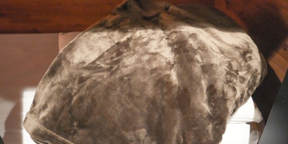 客室の設備とサービス