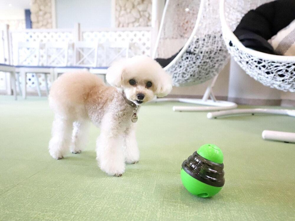 ペット用設備・サービス