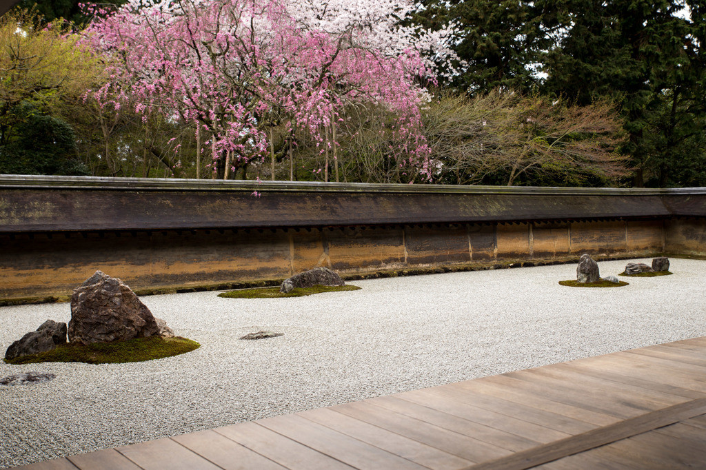 美しいのは庭だけじゃない「龍安寺」901812