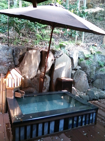 箱根花紋／箱根湯本3496005