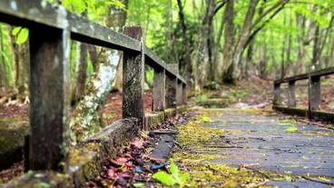 施設の敷地 / 18