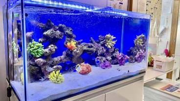 施設内の設備 / 13