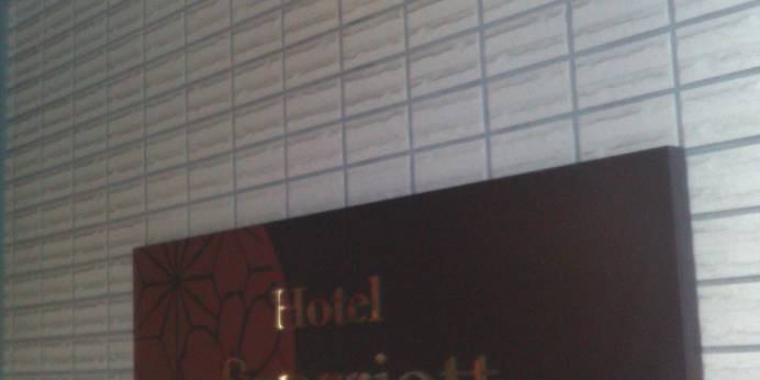 Hotel Sanrriott 北浜(大阪府 ビジネスホテル) / 1