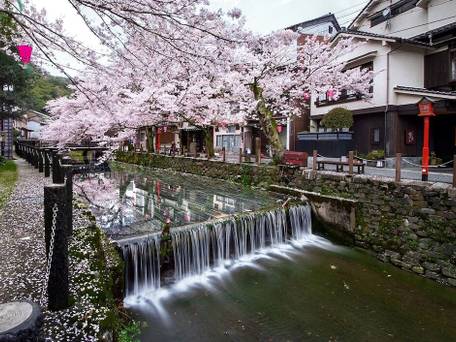 城崎温泉 ゆとうや旅館 / 3