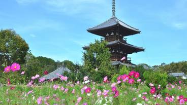 観光スポット / 2