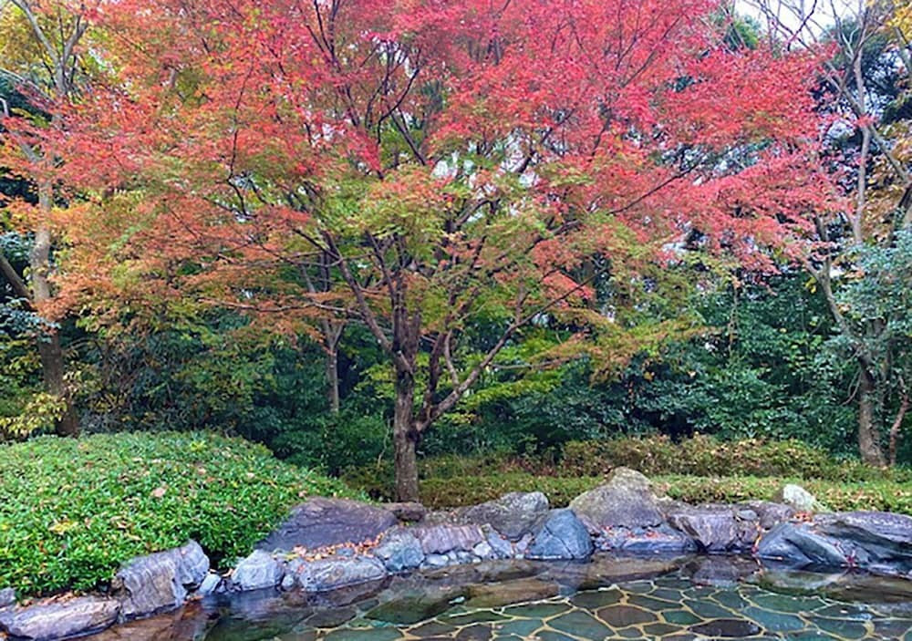 温泉