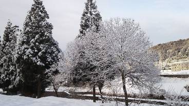 施設からの眺望 / 25