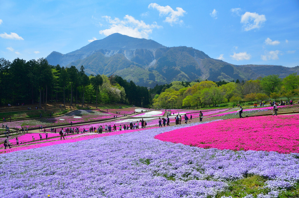 週末旅行にぴったり！秩父の自然に身をゆだねて、リラックス3511948