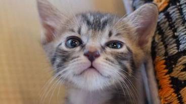 内装の詳細 / 16