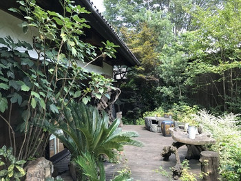 「うえき屋カフェ272」 内観 73253332 