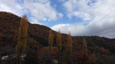 マウンテン ビュー / 40