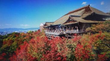 観光スポット / 21