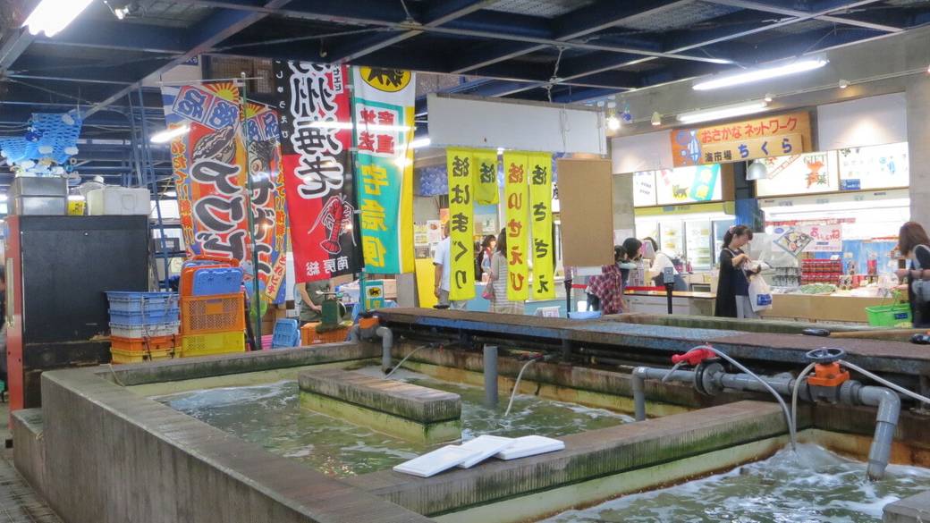 海の景色とともに
南房総をドライブ / 3