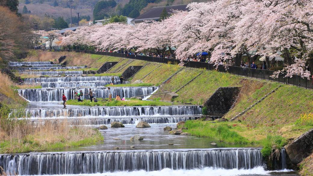 箱根の名所を
気ままに巡ろう / 3