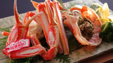 食事・飲み物 / 14