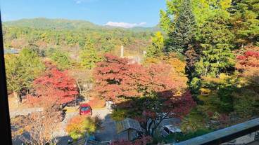 ガーデン ビュー / 27