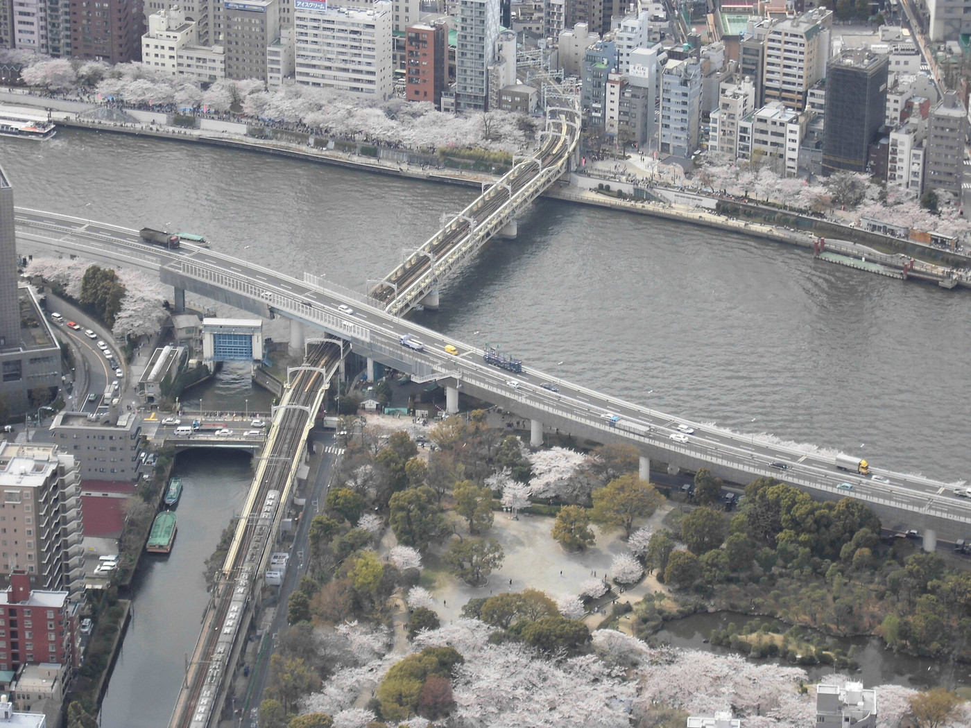7. 東京スカイツリー(押上)1558830