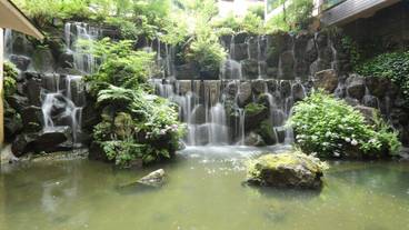 施設の敷地 / 17