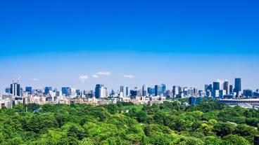 東京都庁からの眺め(2) / 4