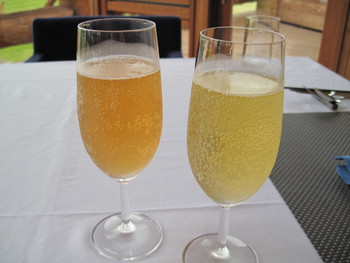 「屈斜路湖 鶴雅オーベルジュ SoRa」 ドリンク 1791652 ノンアルコールのドリンク