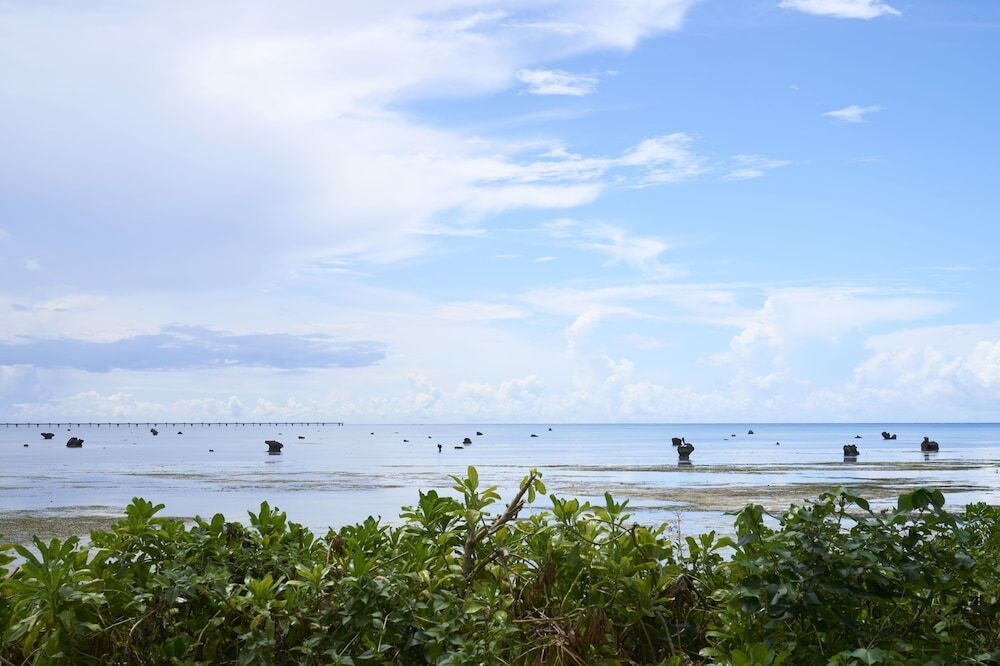 客室からの眺め