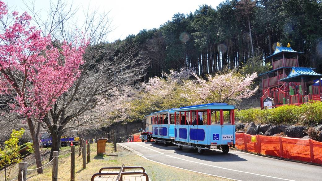 こどもの森公園 わんぱくランド / 2