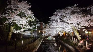 シティ ビュー / 13