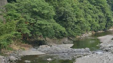 部屋からの景観 / 5
