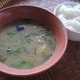 ザ ジャングリラ カフェ アンド レストラン（ザジャングリラカフェアンドレストラン）