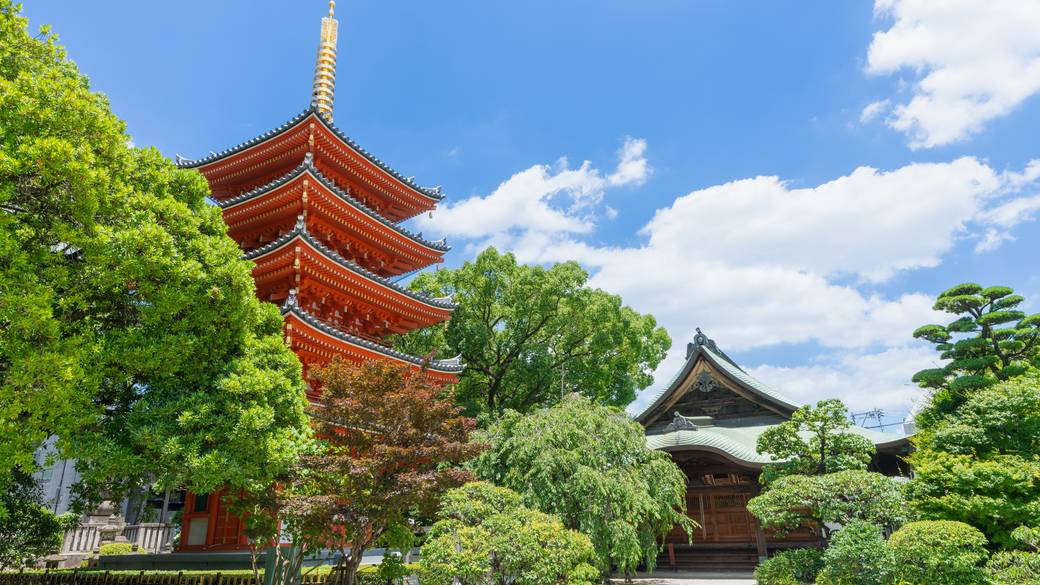 東長寺／宿から徒歩約9分 / 1