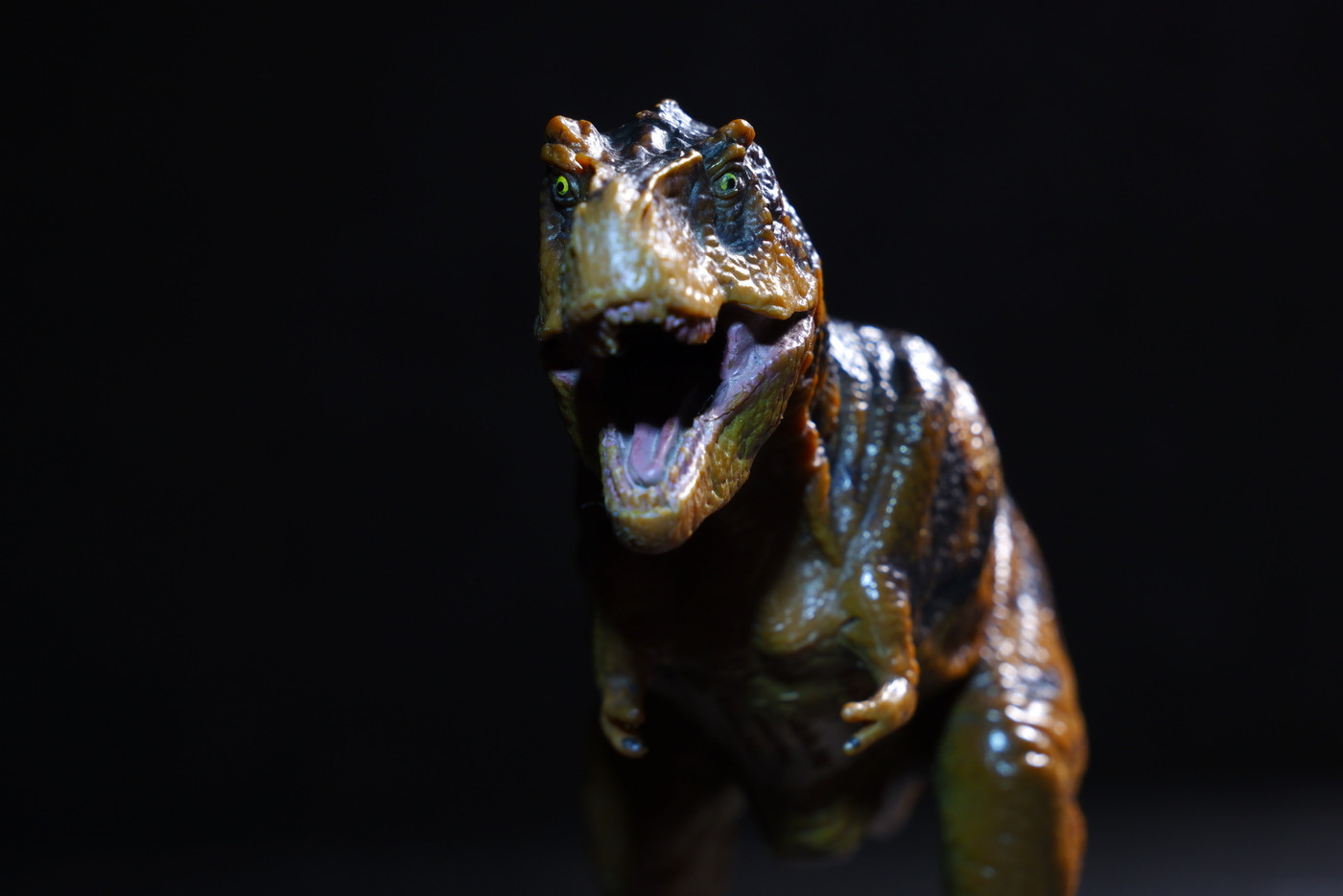 肉食恐竜のティラノザウルス