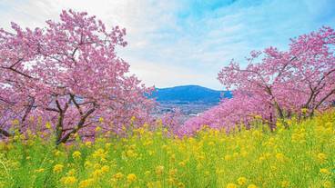 施設からの眺望 / 10