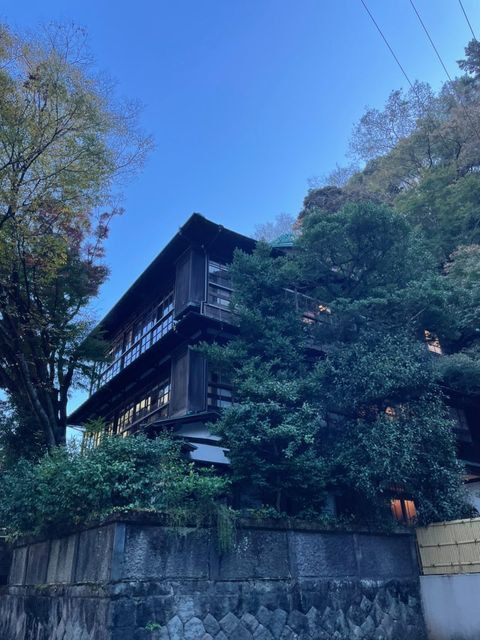 yfuna4さんの写真 / 1