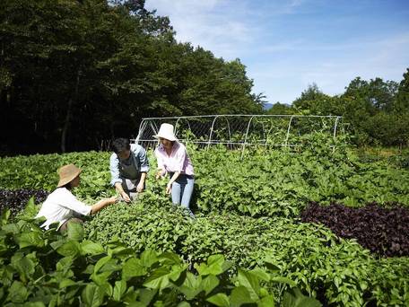 リゾナーレ那須 / 5