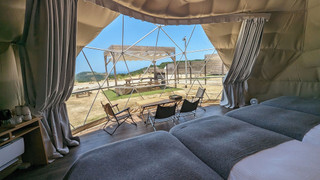 ファミリー テント