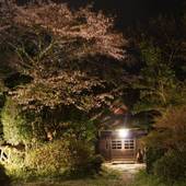 由布院温泉 由布院ことぶき 花の庄（大分県 旅館） / 4