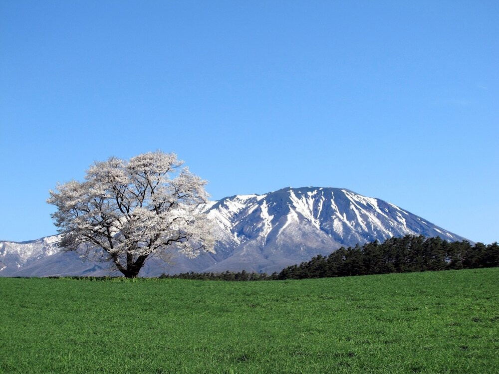 マウンテン ビュー