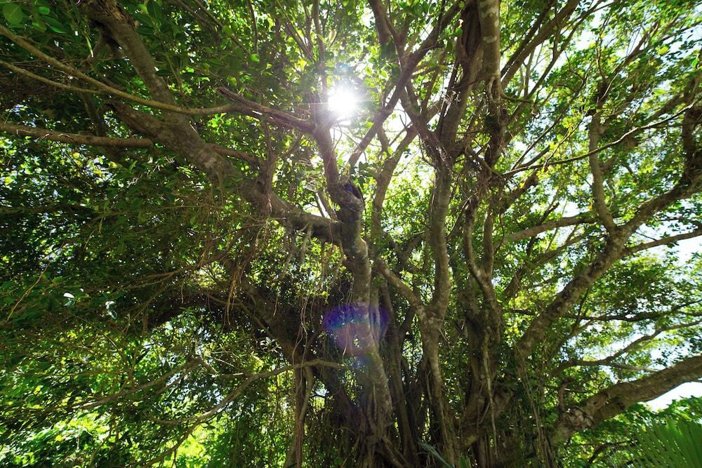 部屋からの景観