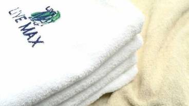 客室の設備とサービス / 6