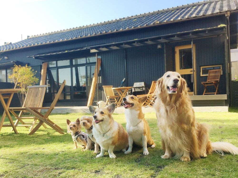 テラス / パティオ