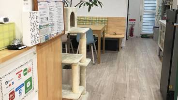 リビング エリア / 15