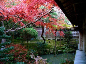 「西源院」 内観 35228334 庭園