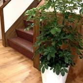 Samurise NORTH（山梨県 ペンション） / 2